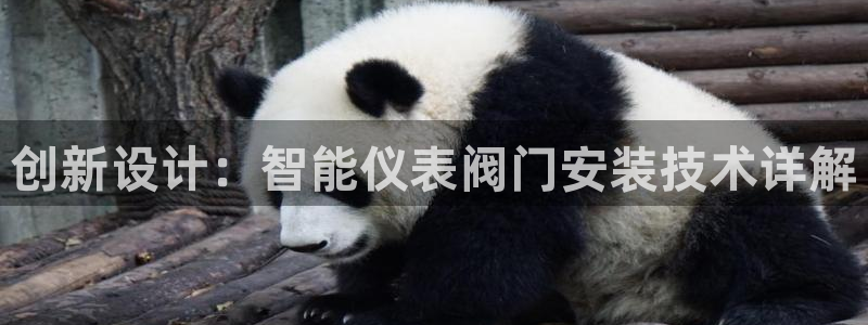 顺盈娱乐主管后原判官333OO