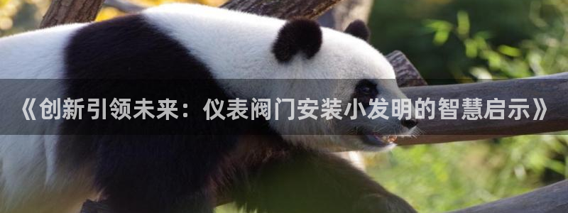 顺盈娱乐彩票