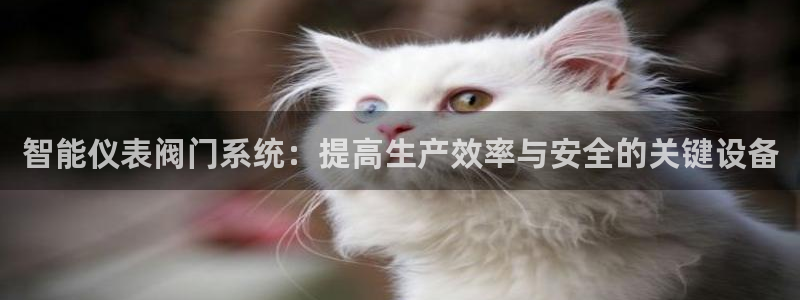 顺盈2娱乐在线教育