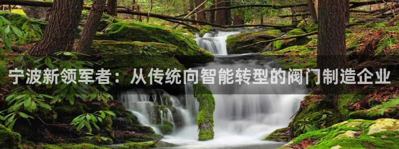 清远顺盈娱乐文案