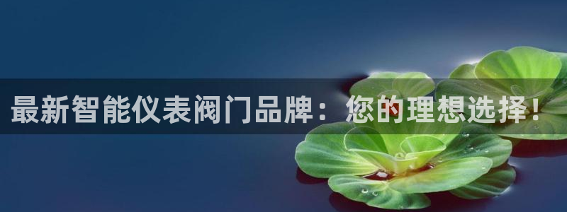 顺盈娱乐代理