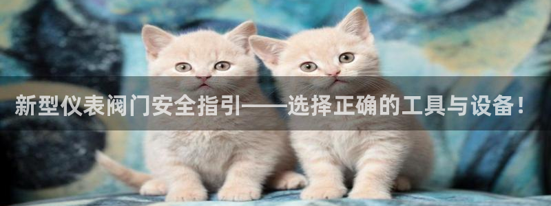 顺盈娱乐最高代理是谁啊