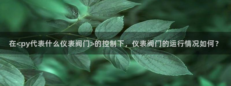 顺盈娱乐主管右原判官333OO
