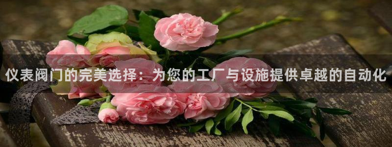 清远顺盈娱乐集团地址