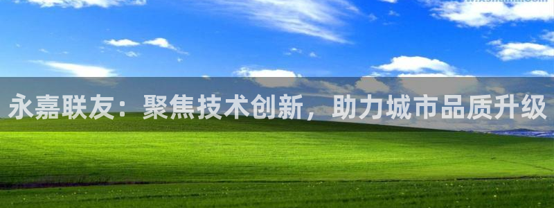 顺盈娱乐网