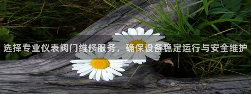 顺盈娱乐市究7276O