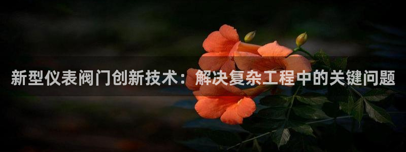 顺盈娱乐最高代理人是谁