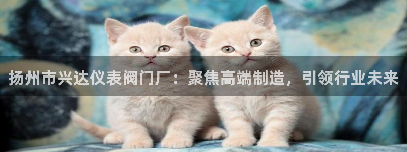 顺盈娱乐开户
