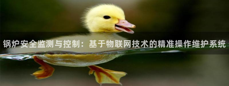 顺盈娱乐在线开户