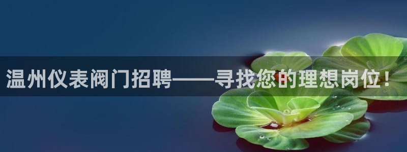 顺盈娱乐招商低判官333OO