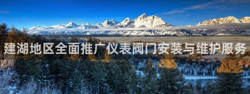 顺盈娱乐在线开户流程图