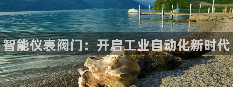 顺盈娱乐铜333OO