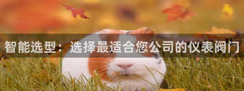 顺盈娱乐形究7276O