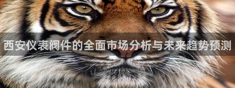 顺盈娱乐彩票怎么样