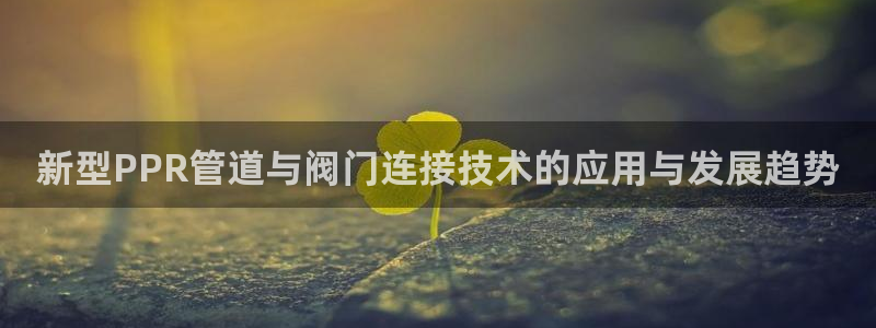顺盈娱乐最高代理人是谁