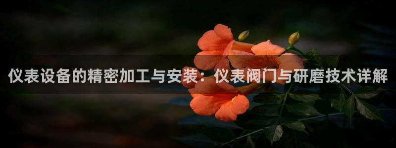 顺盈娱乐找382223