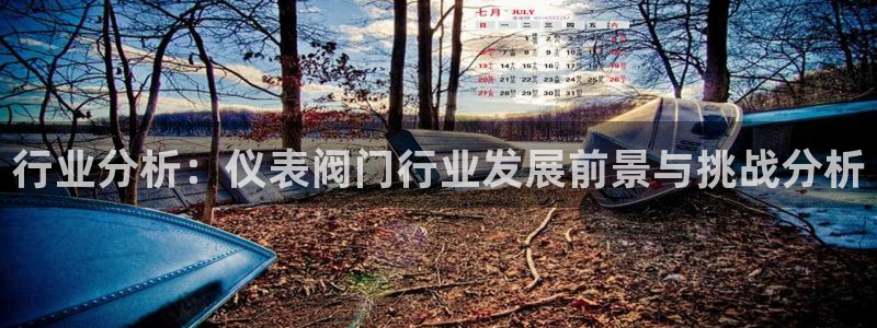 顺盈2娱乐平台