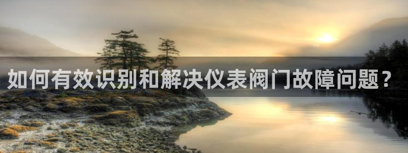 乐摇摇娱乐团购顺盈
