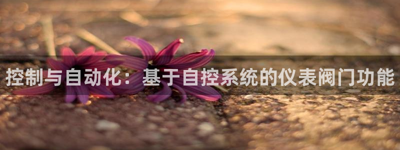 顺盈娱乐代理怎么样了啊