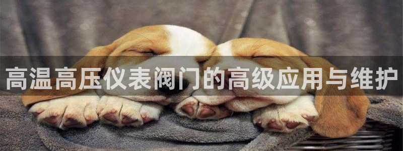 顺盈娱乐在线开户