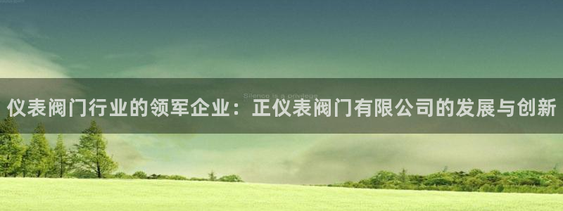 顺盈娱乐李333OO