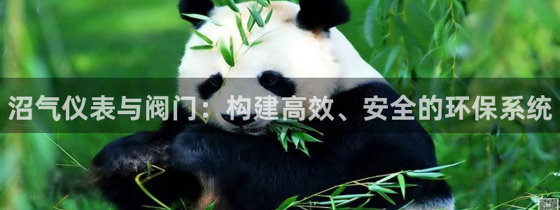 顺盈娱乐平台下载