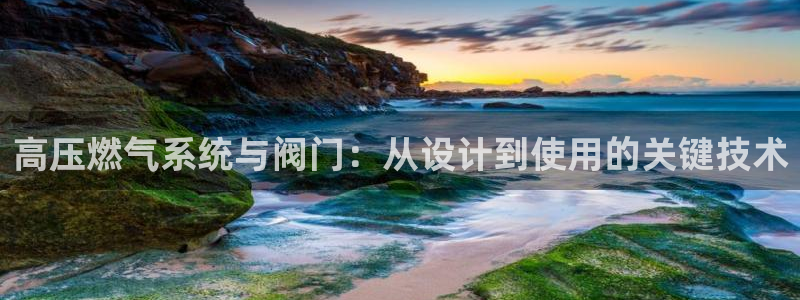 顺盈娱乐注册平台是什么