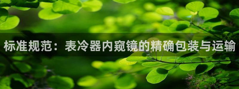 顺盈娱乐qv87555