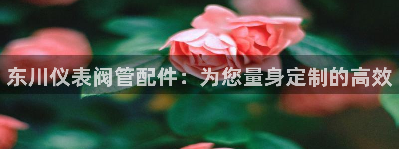 顺盈娱乐易7O777