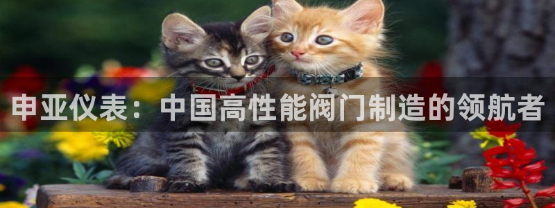 顺盈娱乐最高代理人是谁