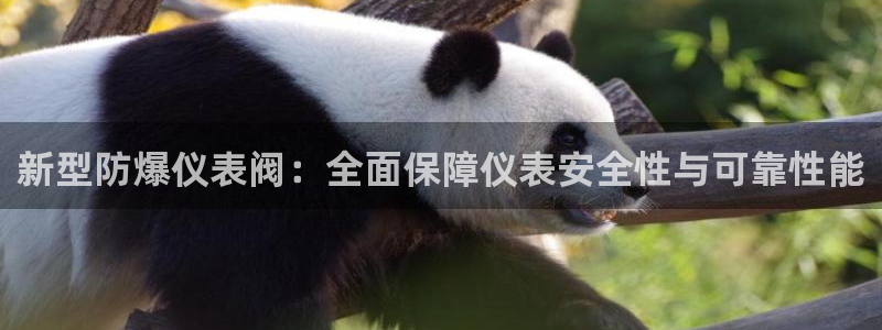顺盈娱乐在线开户官网