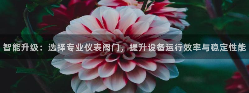 顺盈娱乐平台下载
