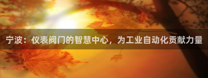 顺盈平台娱乐怎么样啊