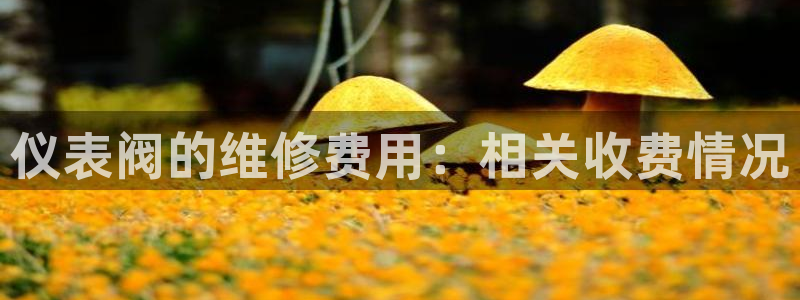 顺盈娱乐平台登录不了