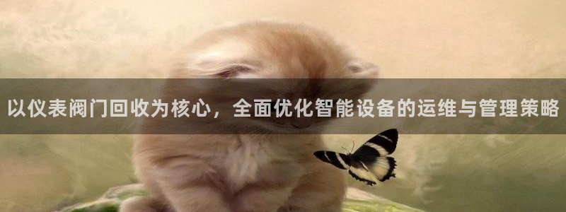 顺盈娱乐下载官网地址