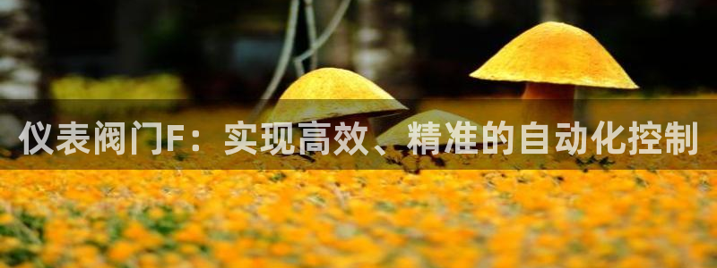盈顺娱乐休闲室怎么样