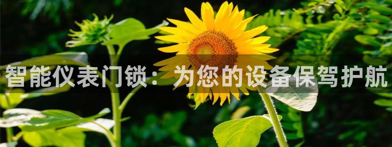 顺盈2娱乐382223