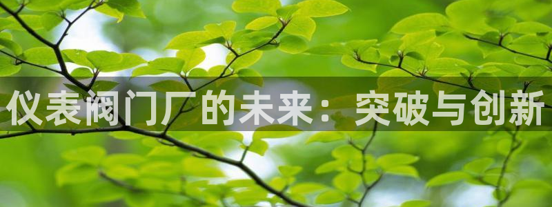 顺盈娱乐最高代理是谁呀