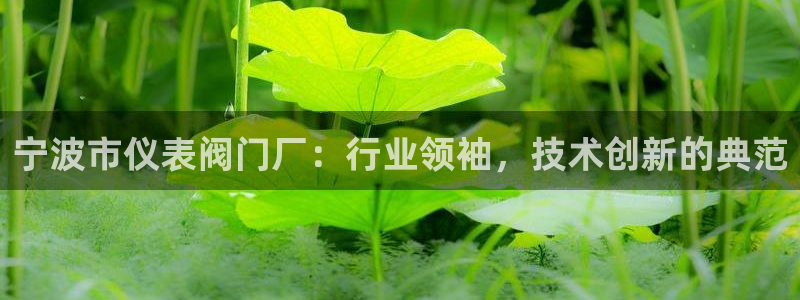 顺盈娱乐网址