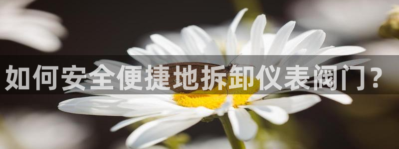 顺盈娱乐在线开户怎么样