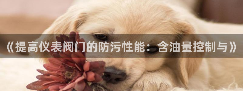清远顺盈娱乐酒店电话