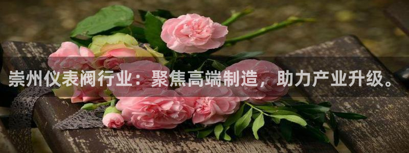 顺盈娱乐招商网判官333OO