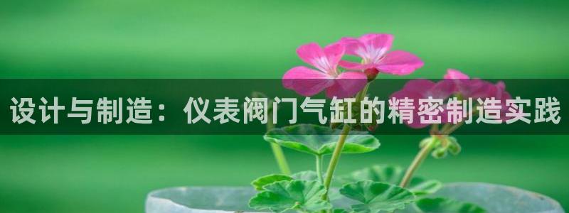 顺盈娱乐在线开户