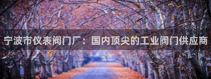 顺盈娱乐西班牙28房