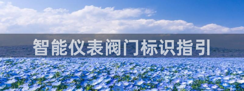 顺盈娱乐注册九判官333OO