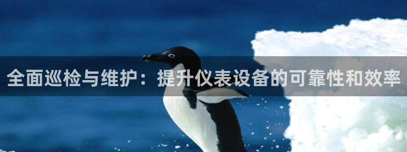 顺盈娱乐猪