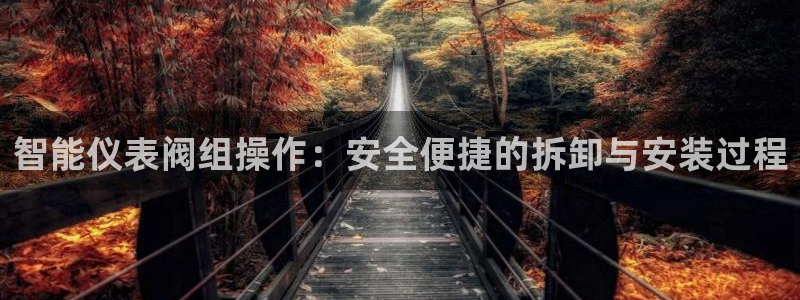 顺盈娱乐下载安装手机版