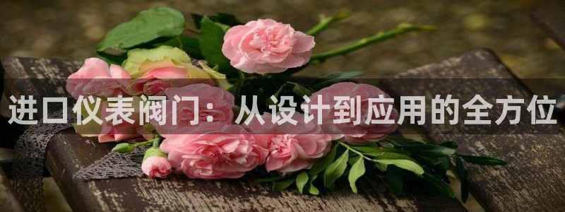 乐摇摇娱乐团购顺盈