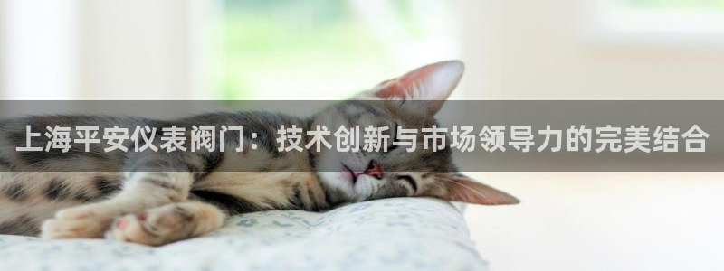 顺盈2娱乐