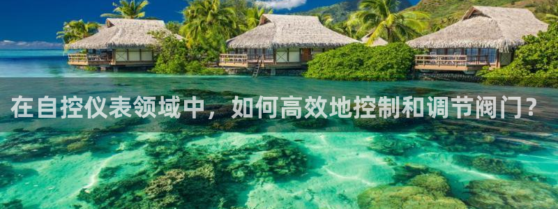 顺盈娱乐主管=天神779O3